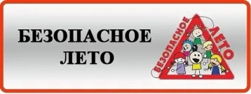 Профилактическая акция "Безопасное лето" Профилактическая акция "Безопасное лето".
