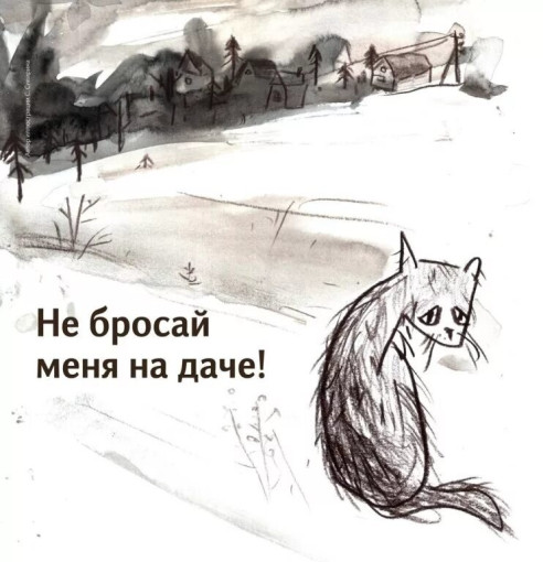 Зоозащитная акция «Не бросай меня на даче" Зоозащитная акция «Не бросай меня на даче".