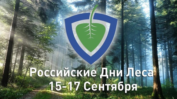 Экологический праздник- Российские дни леса! Экологический праздник- Российские дни леса!.