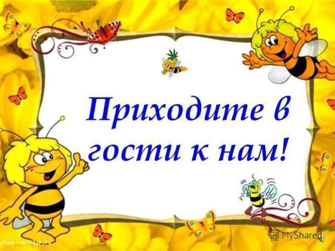 Один день из жизни "Пчелок" Один день из жизни "Пчелок".
