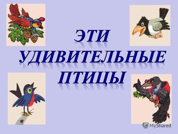 Эти удивительные птицы Эти удивительные птицы.