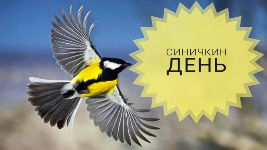Синичкин день Синичкин день.