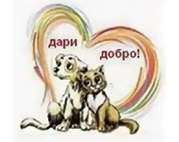 Мы в ответе за тех, кого приручили! Мы в ответе за тех, кого приручили!.